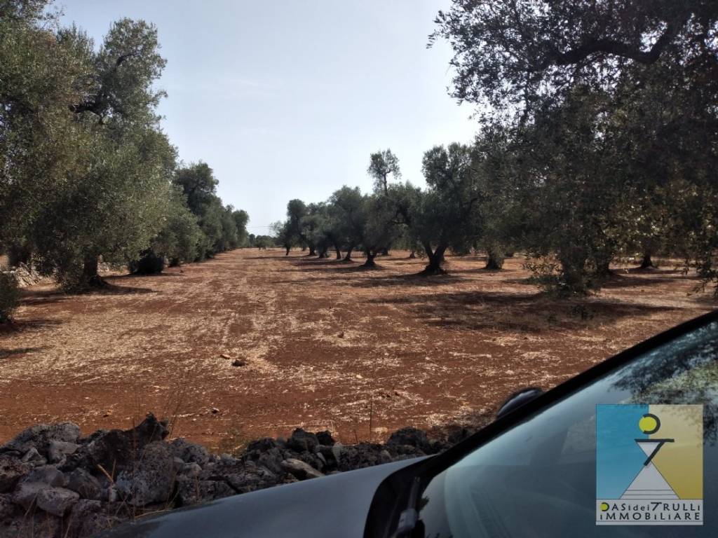 Rustico / casale a San michele salentino in Contrada Pozzo Pallone - Foto 3
