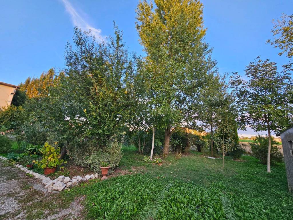 Appartamento a Mirandola - Foto 4