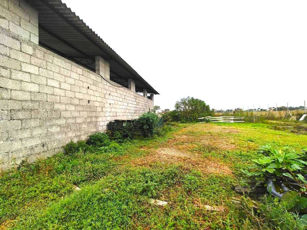 Villa a Loreo in Via Grimana - Foto 3