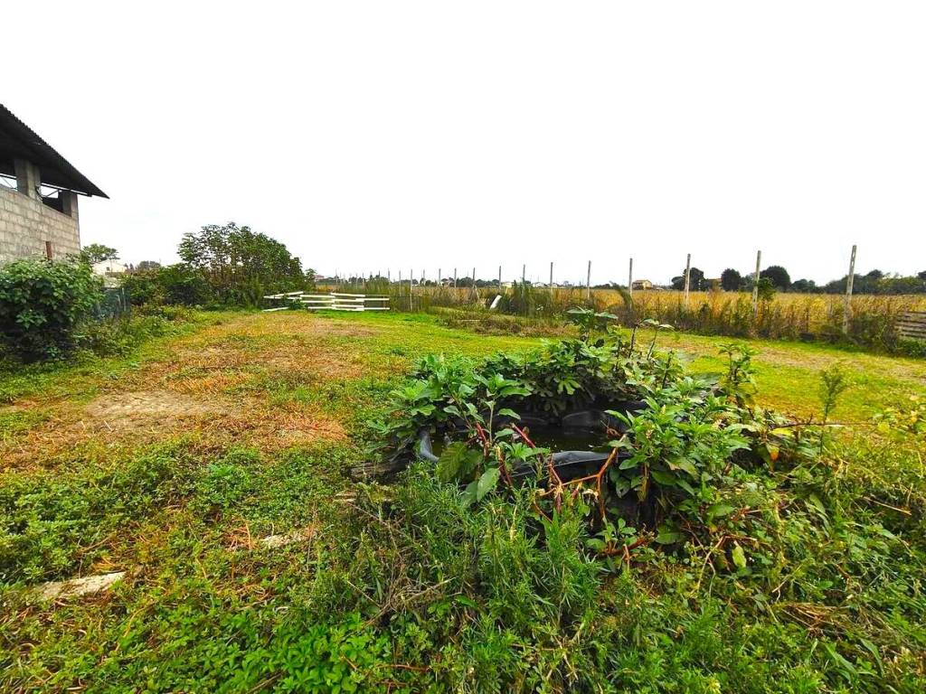 Villa a Loreo in Via Grimana - Foto 4