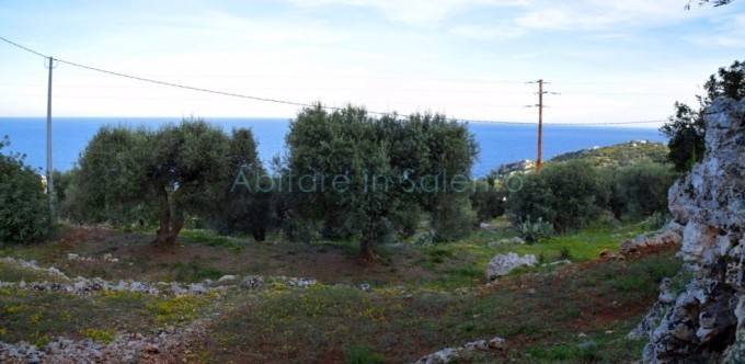 Terreno a Gagliano del capo - Foto 3