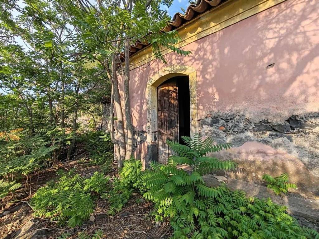 Rustico / casale a Leonforte - Foto 2