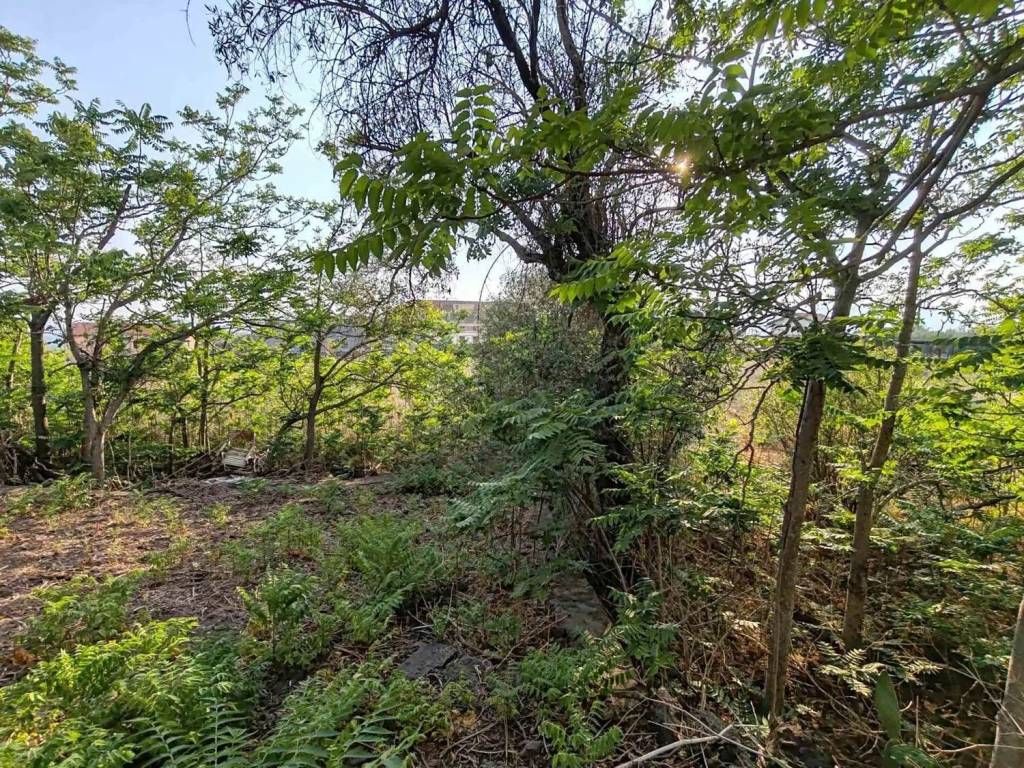 Rustico / casale a Leonforte - Foto 5