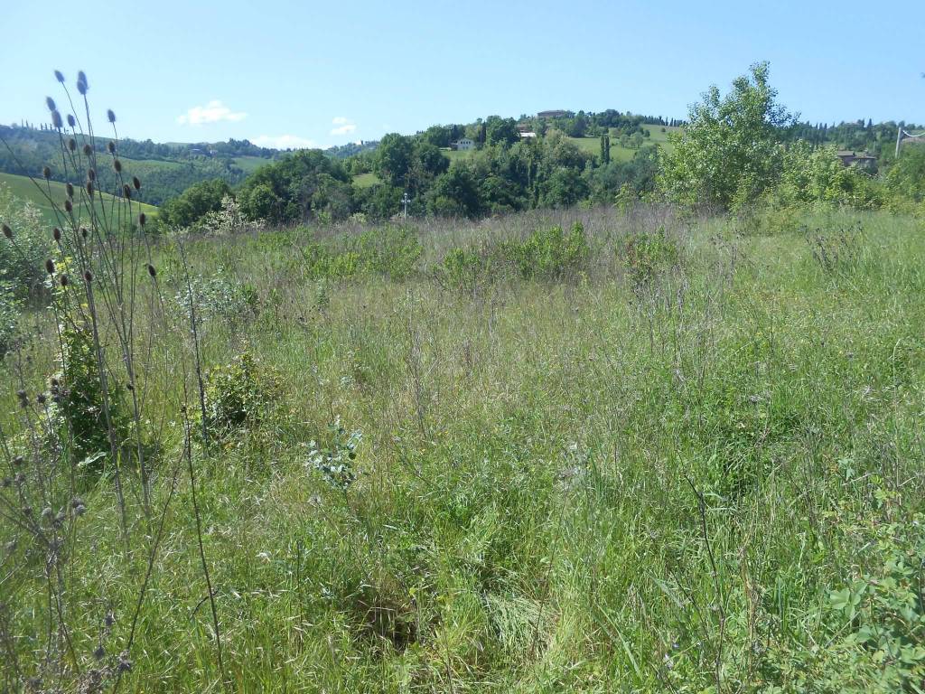 Terreno a Monte san pietro in via montevecchio - Foto 4