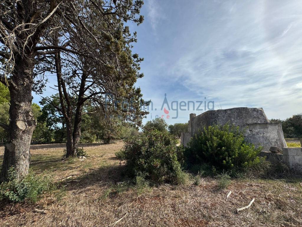Rustico / casale a Carovigno - Foto 3