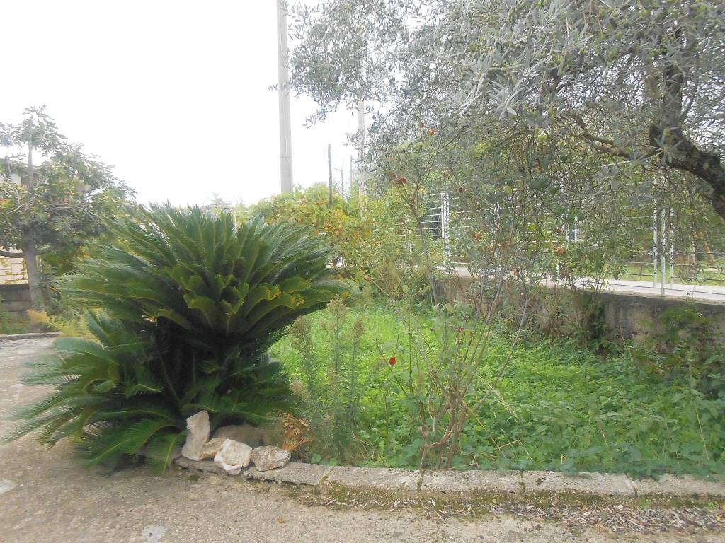 Villa a Montemiletto in Contrada Festola - Foto 5