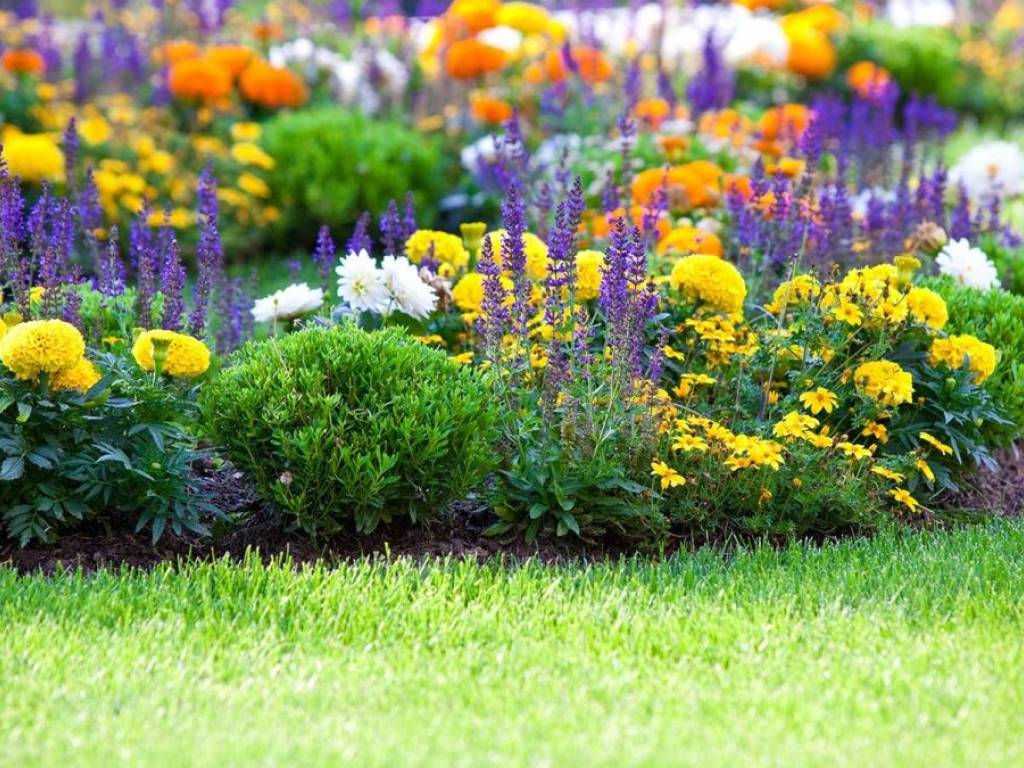 Villa a Pineto in Via Svizzera, 5 - Foto 3