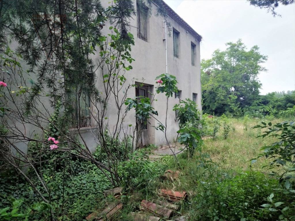 Rustico / casale a Saonara - Foto 4