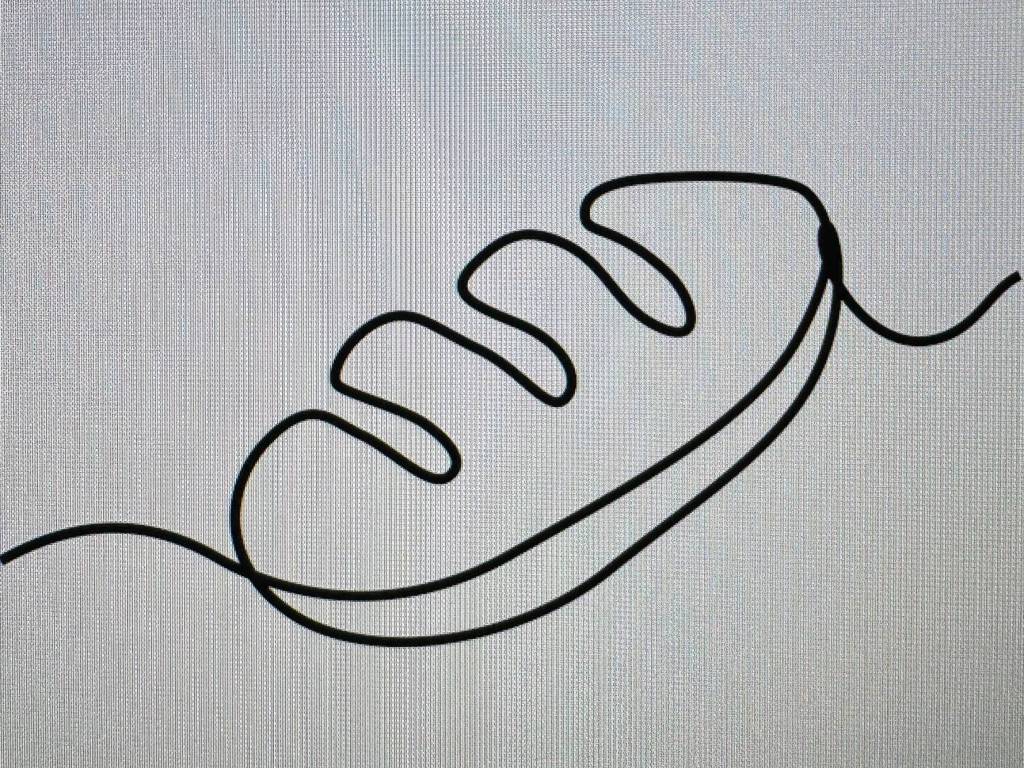 Immobile a Chioggia - Foto 4