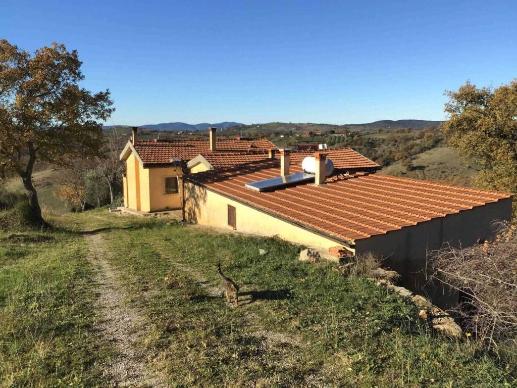 Rustico / casale a Scansano - Foto 3