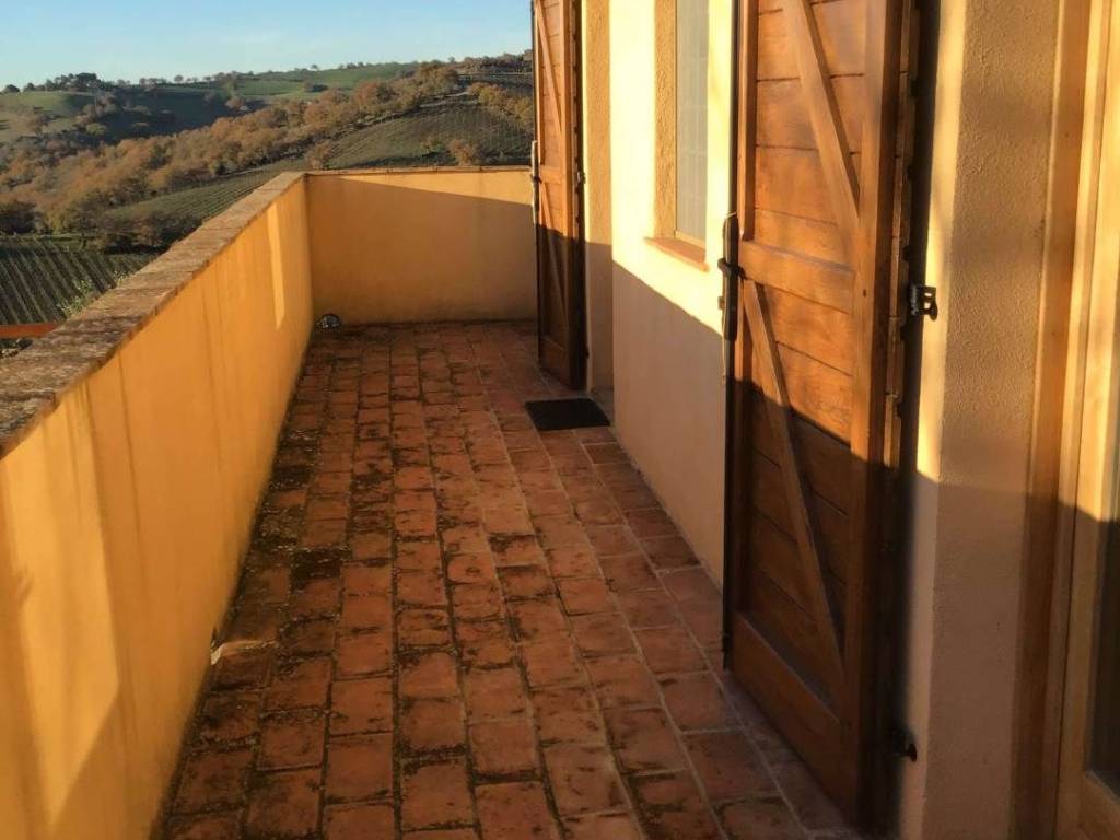 Rustico / casale a Scansano - Foto 4