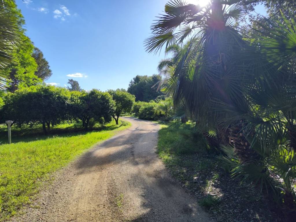 Villa a San cesario di lecce - Foto 3