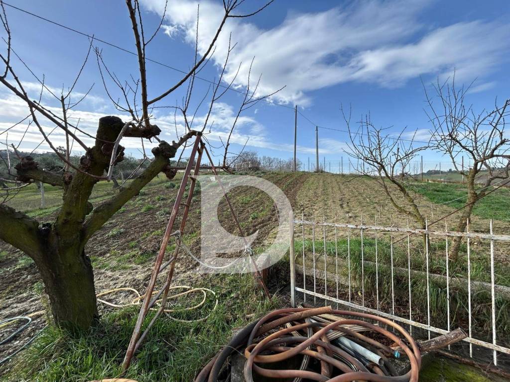 Casa indipendente a Spoltore in Via Montesecco, 68 - Foto 5