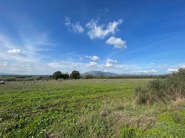 Terreno a Paliano in Contrada Colle Rampo - Foto 2