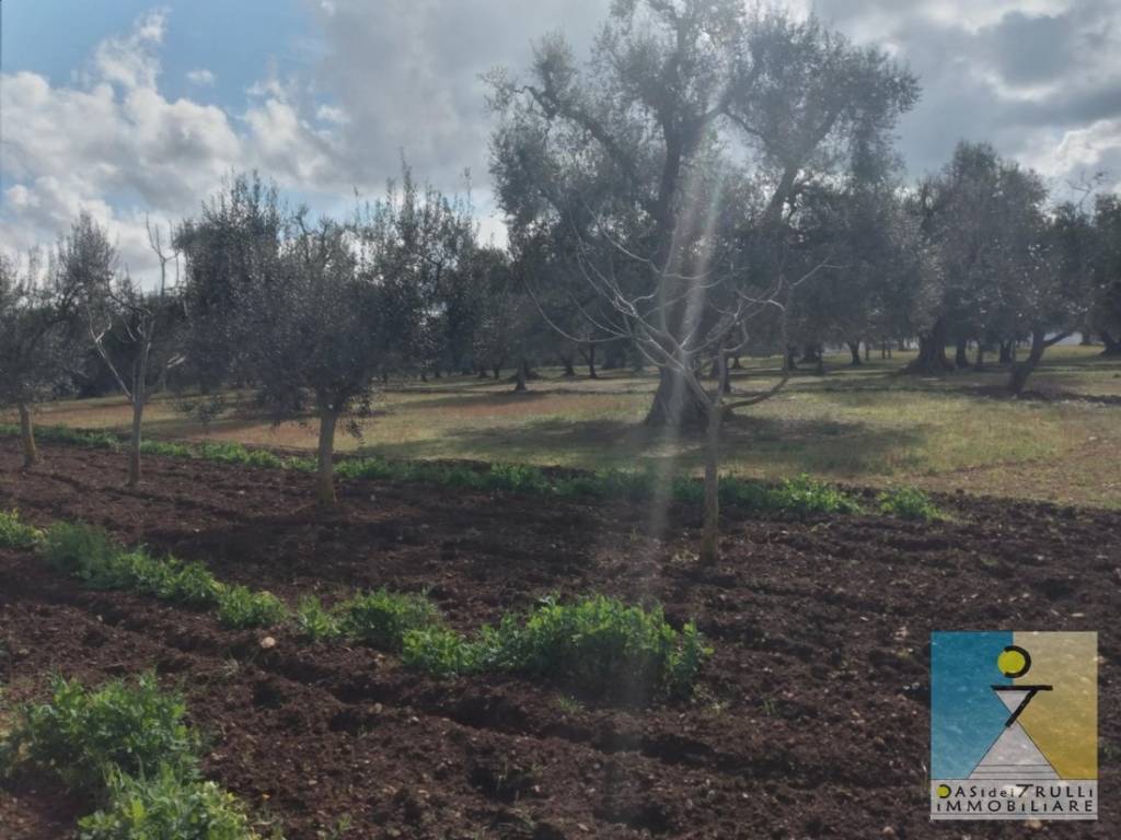 Terreno a San michele salentino in Contrada Cotugni - Foto 2