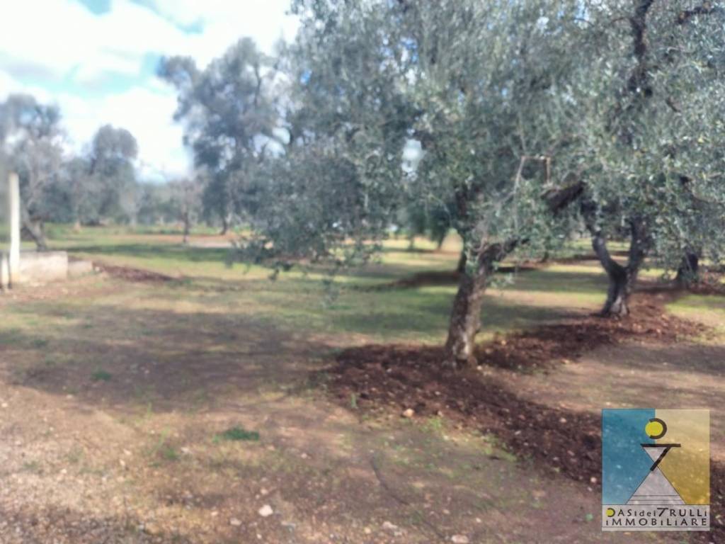 Terreno a San michele salentino in Contrada Cotugni - Foto 4