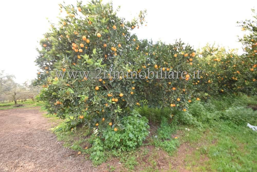 Immobile a Castelvetrano in contrada fontanelle - Foto 2
