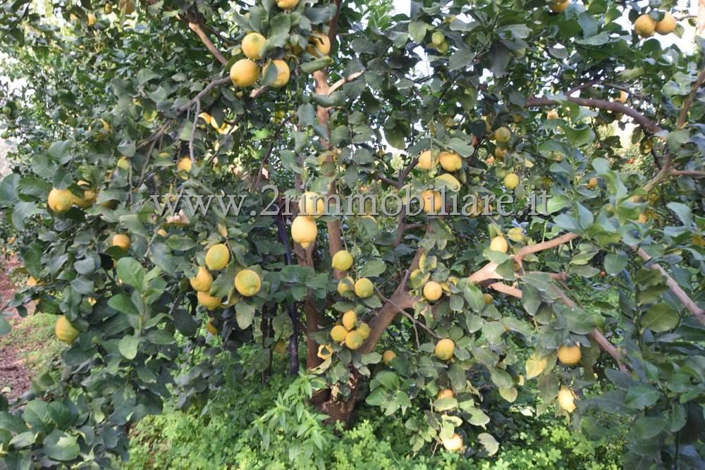 Immobile a Castelvetrano in contrada fontanelle - Foto 3
