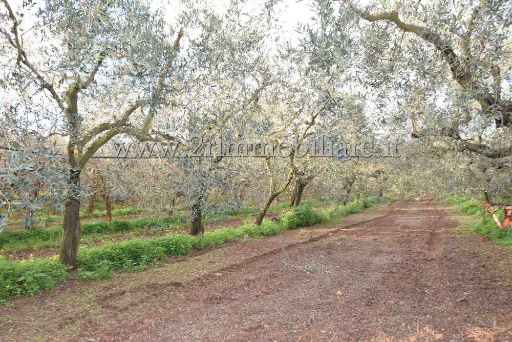 Immobile a Castelvetrano in contrada fontanelle - Foto 4