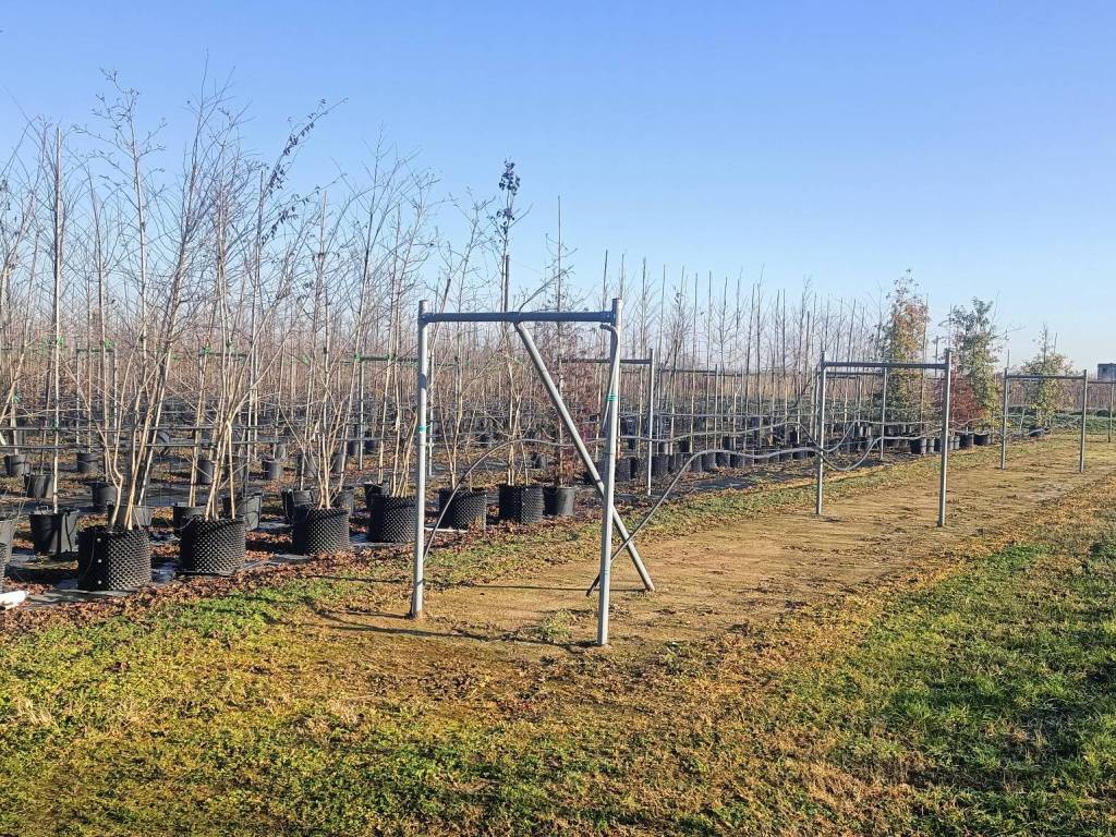 Terreno a Canneto sull'oglio - Foto 4