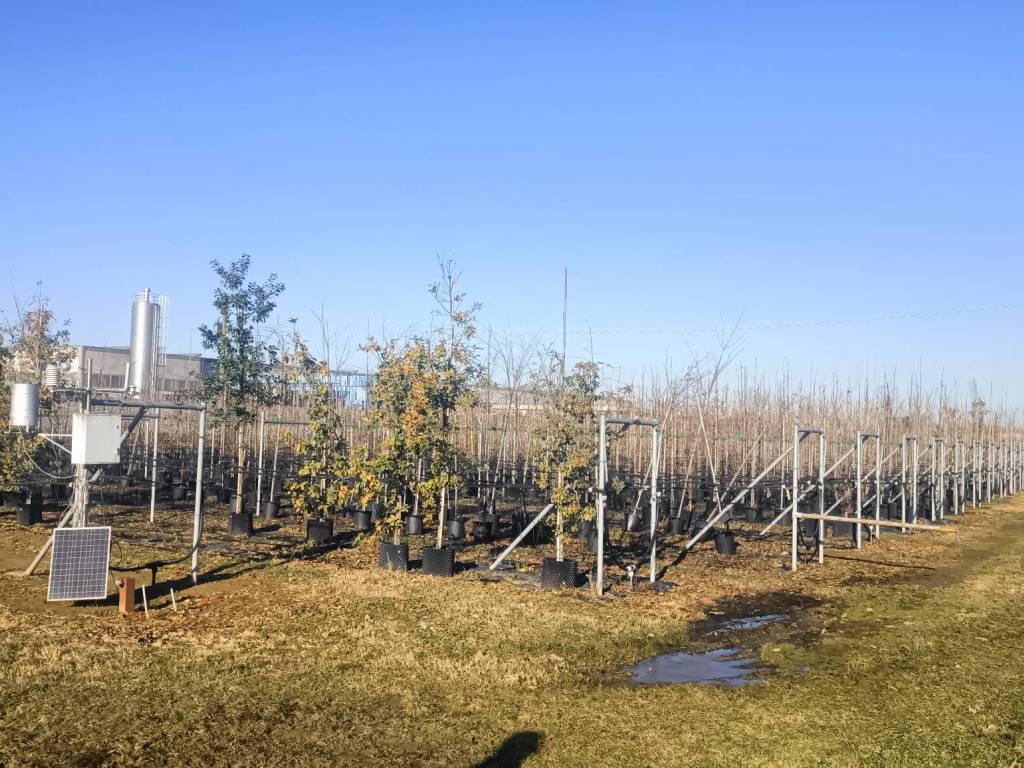 Terreno a Canneto sull'oglio - Foto 5