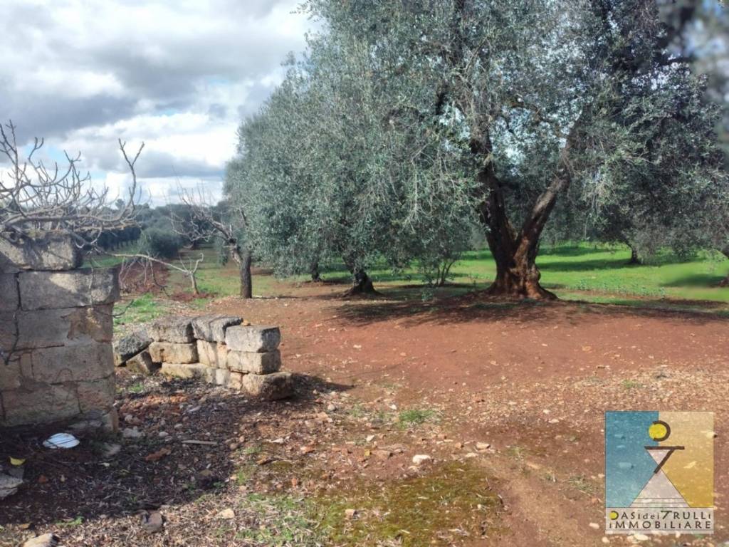 Rustico / casale a San michele salentino in Contrada Cotugni - Foto 3