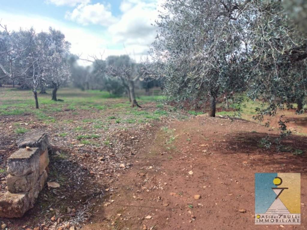 Rustico / casale a San michele salentino in Contrada Cotugni - Foto 5