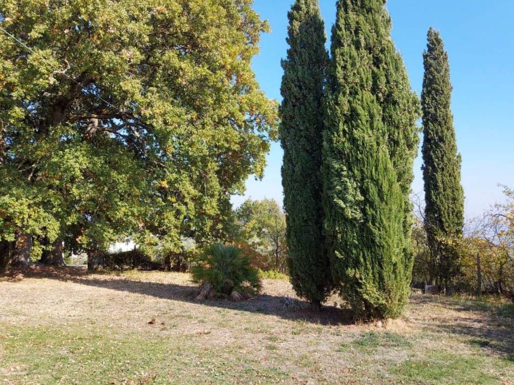 Rustico / casale a Chianciano terme in Via Vecchia Senese, 8 - Foto 5