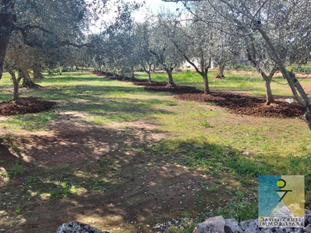 Terreno a San michele salentino in Contrada Cotugni - Foto 2