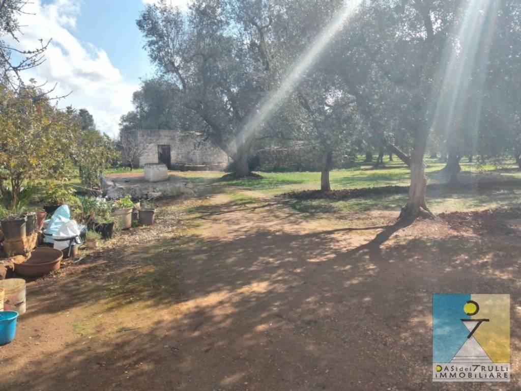 Rustico / casale a San michele salentino in Contrada Cotugni - Foto 4