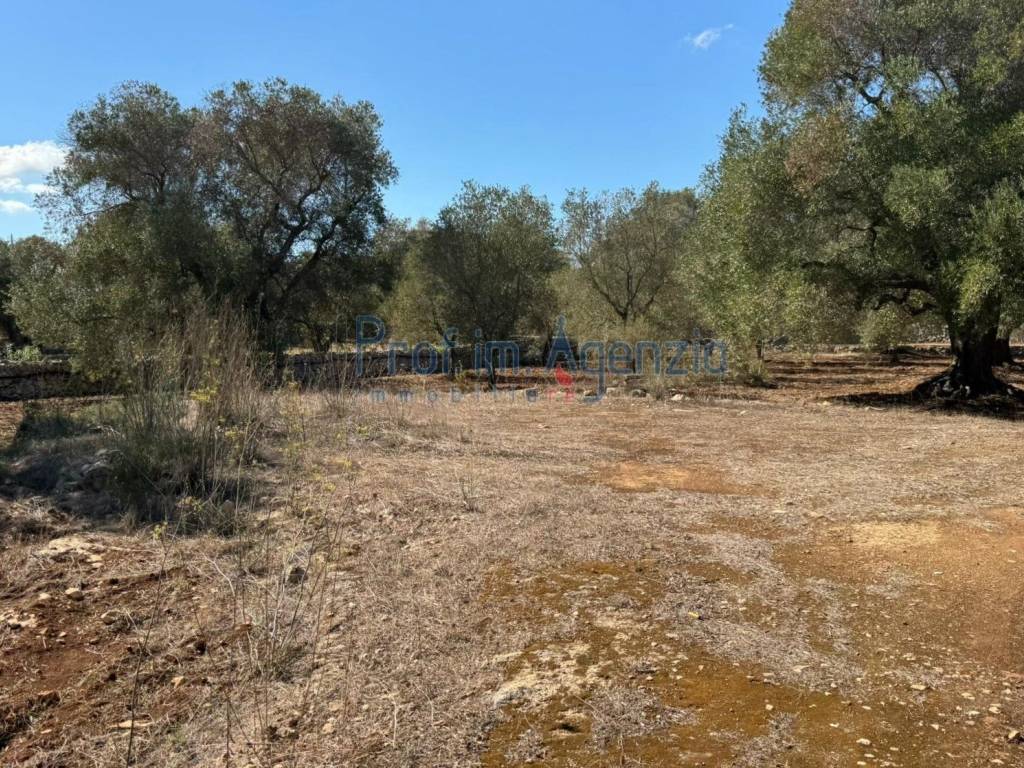 Terreno a Carovigno - Foto 3