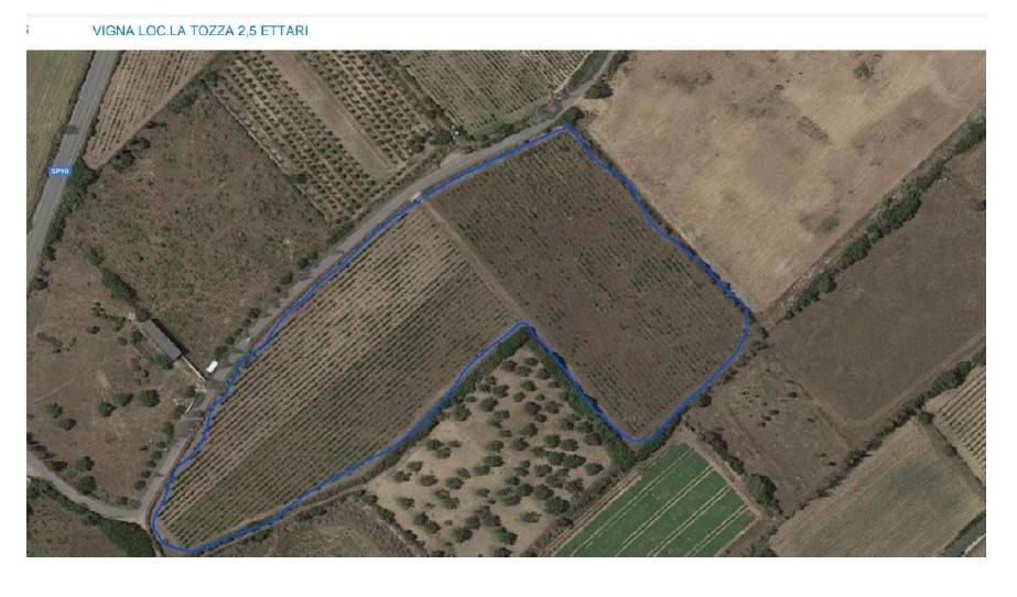 Terreno a Badesi in Via Veneto - Foto 3