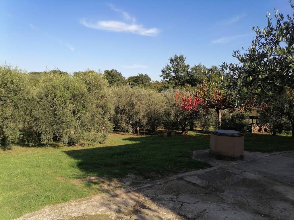 Villa a Bassano in teverina in Strada provinciale 151, 20 - Foto 3