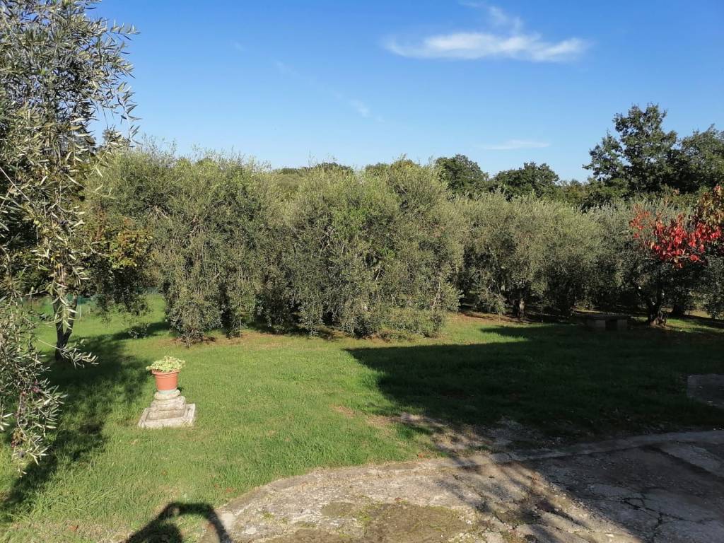 Villa a Bassano in teverina in Strada provinciale 151, 20 - Foto 4