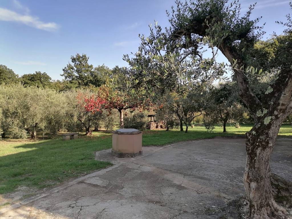 Villa a Bassano in teverina in Strada provinciale 151, 20 - Foto 5