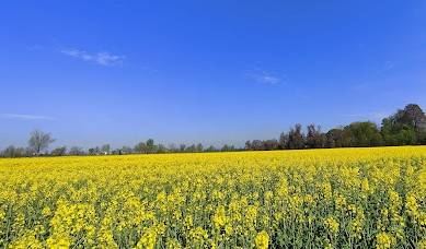 Appartamento a Capralba - Foto 4
