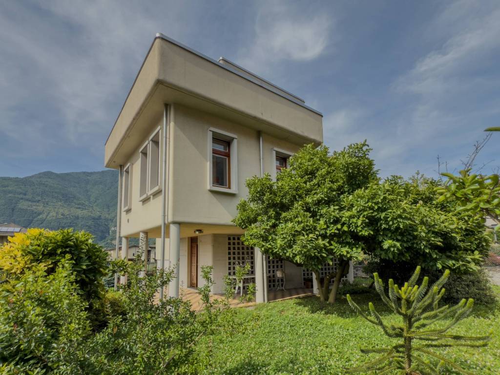 immagine di copertina