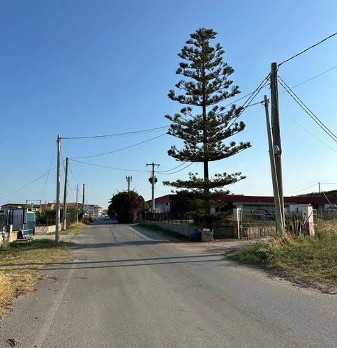 Terreno a Sellia marina in Via Malipassi - Foto 2