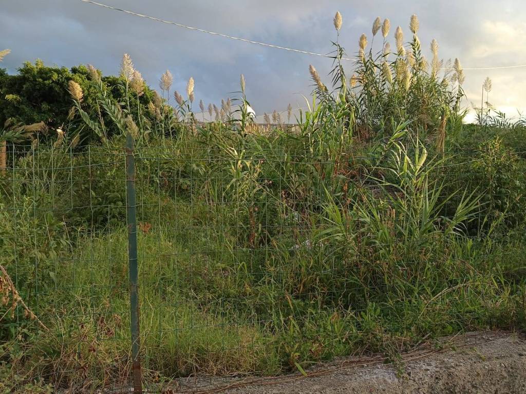 Terreno a Venetico in Via Seconda Provinciale - Foto 5