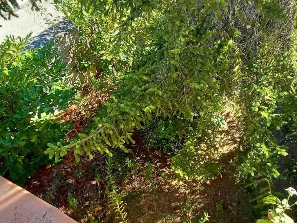 Appartamento a San gimignano in Castel San Gimignano S.N.C. - Foto 4