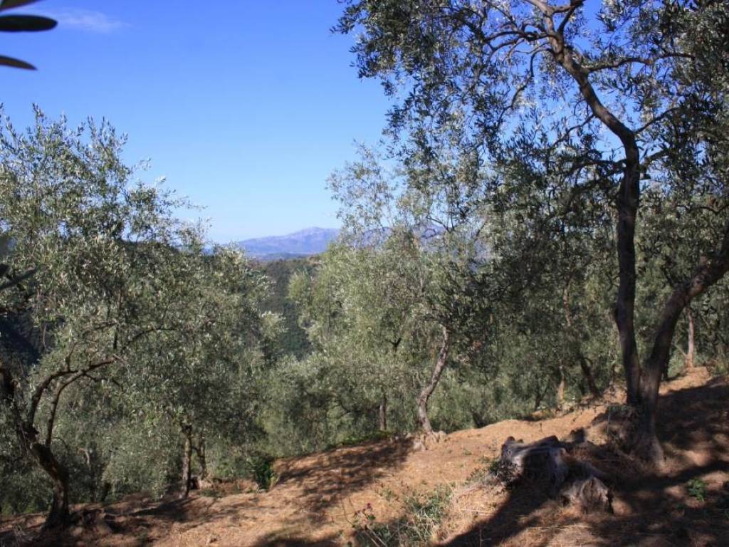 Terreno a Celle ligure in Via Roglio - Foto 2