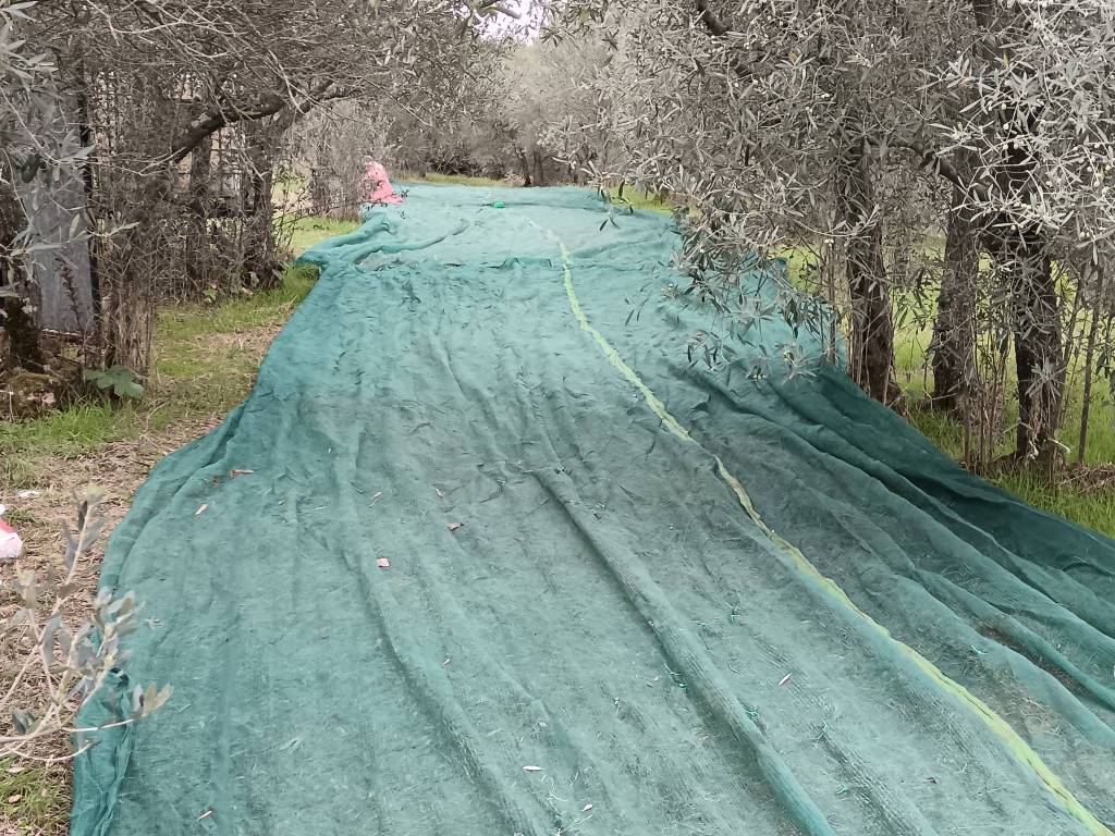 Terreno a Cortona in Strada Comunale del Sodo - Foto 2