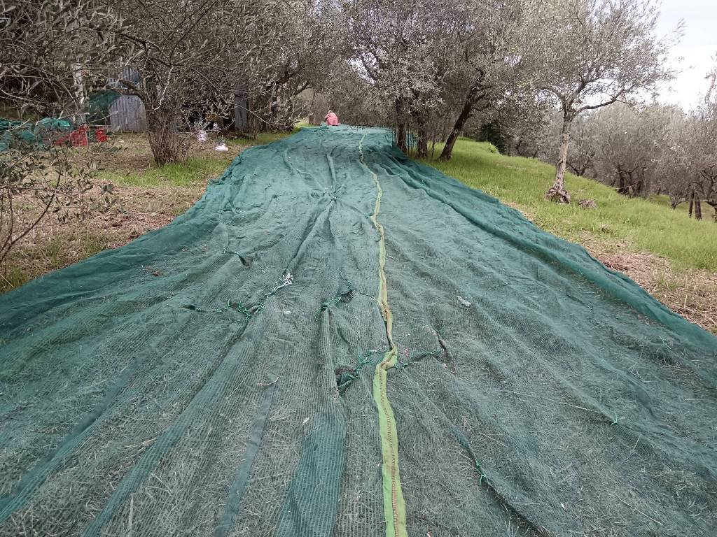 Terreno a Cortona in Strada Comunale del Sodo - Foto 5