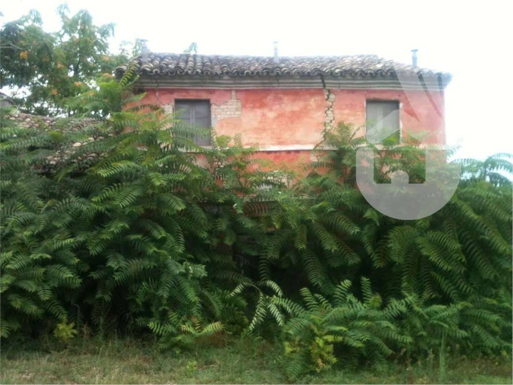 Rustico / casale a Agugliano - Foto 2