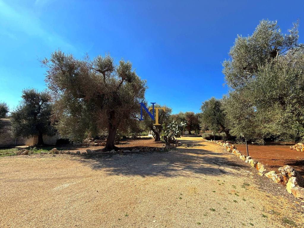 Villa a Ostuni in Contrada Falgheri - Foto 5