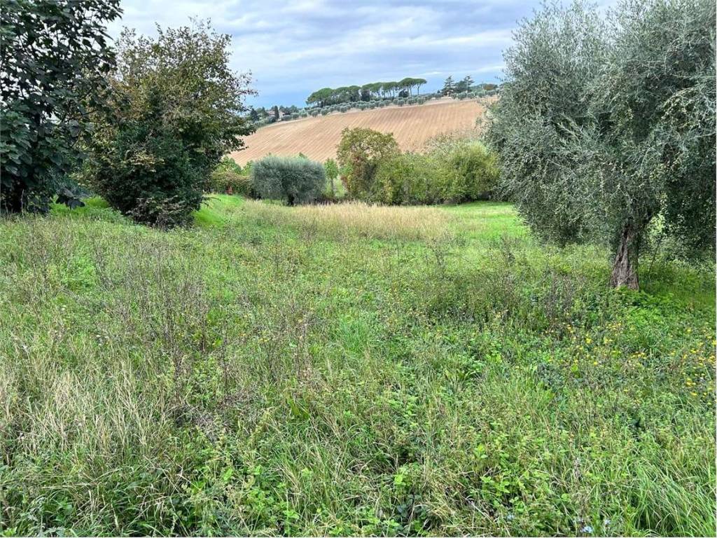 Terreno a Perugia in loc. San Fortunato della collina - Foto 3