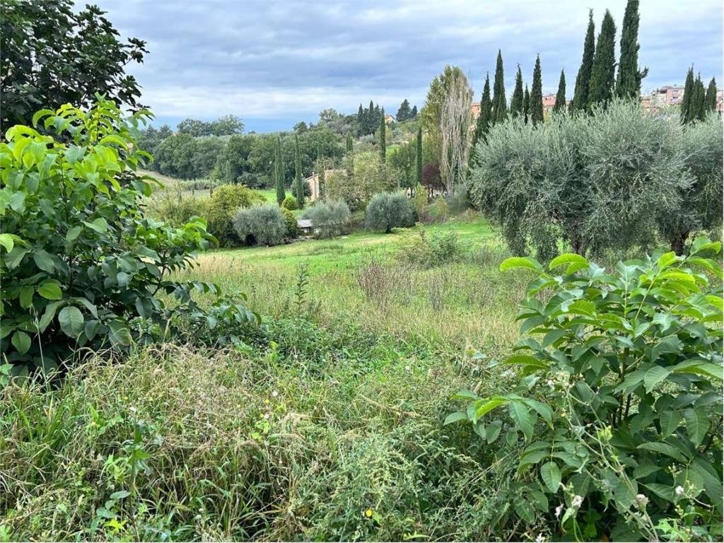 Terreno a Perugia in loc. San Fortunato della collina - Foto 4