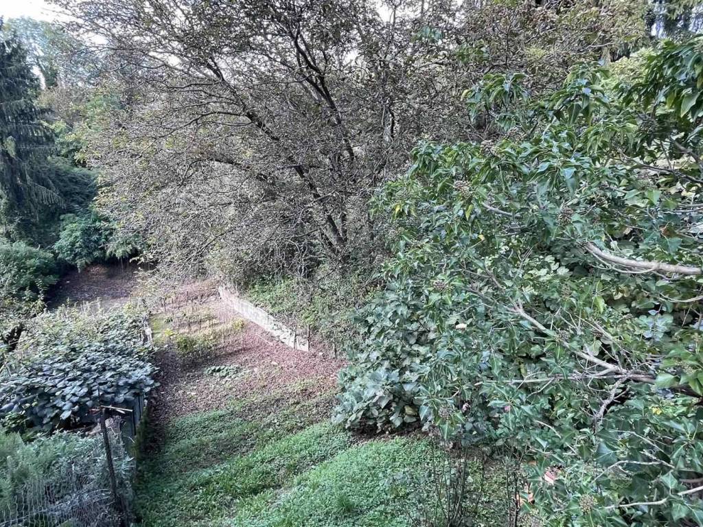 Casa indipendente a Lessona in Borgata Villa, 56 - Foto 2