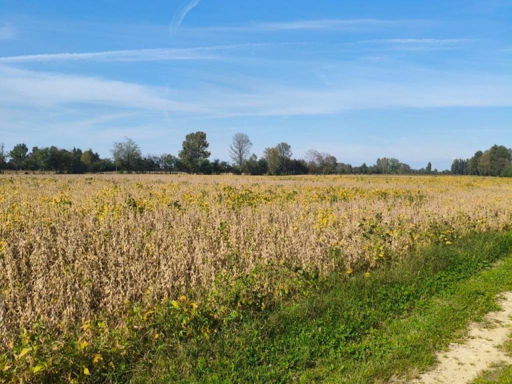 Terreno a Saccolongo in Via vegri - Foto 2