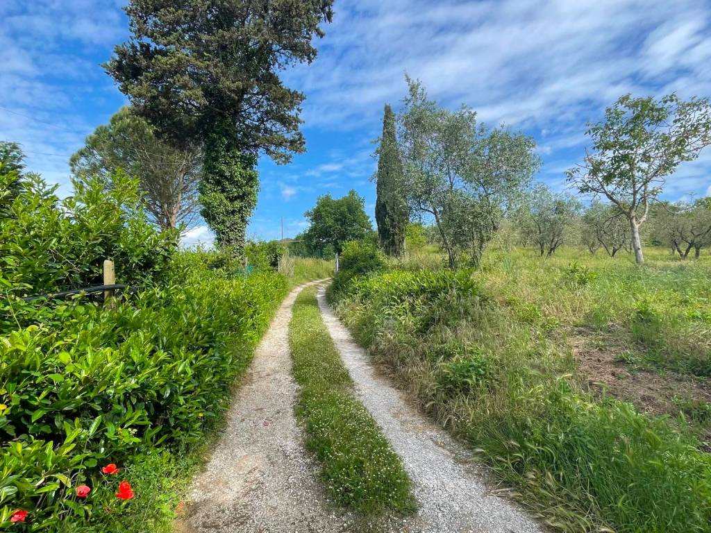 Rustico / casale a Monsummano terme in Via dei Bronzoli, 336 - Foto 3